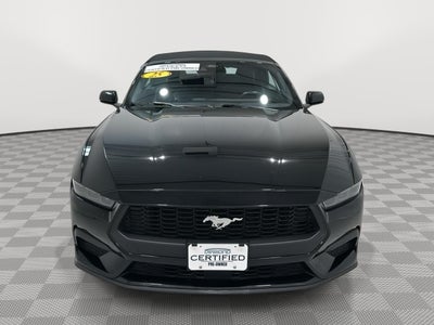 2025 Ford Mustang EcoBoost