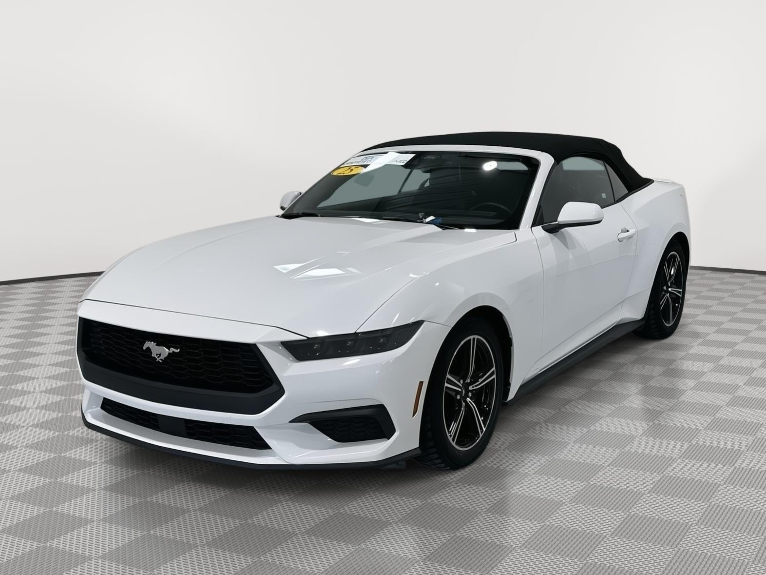 Used 2025 Ford Mustang EcoBoost with VIN 1FAGP8UH6S5119742 for sale in Alexandria, Minnesota